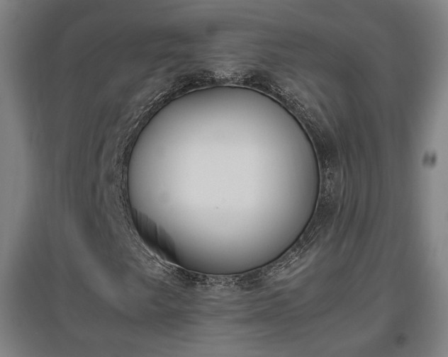 X0000096961249200802151228