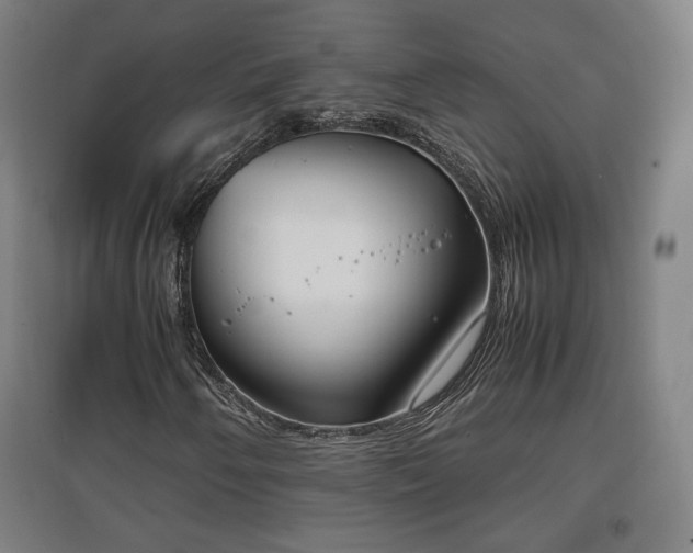 X0000096961250200802151228