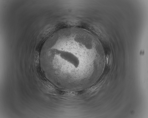 X0000096961251200802151228