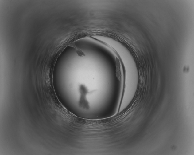 X0000096961252200802151227