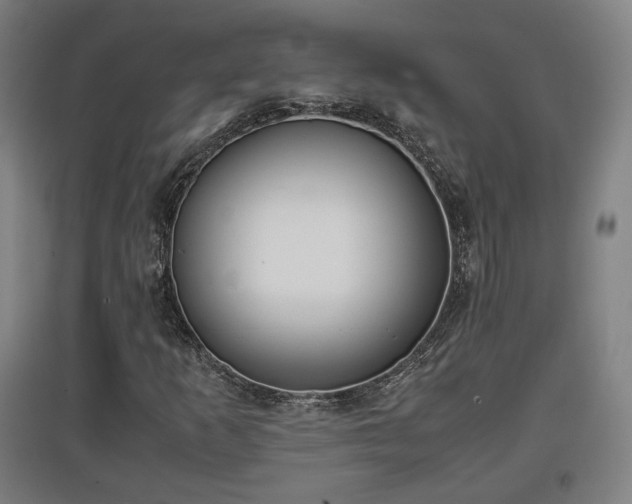 X0000096961253200802151227