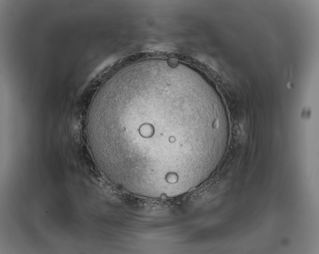 X0000096961254200802151227