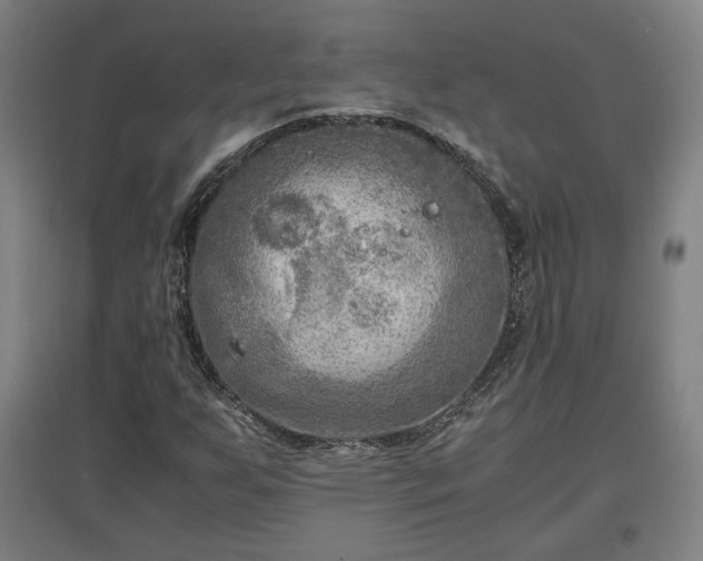 X0000096961255200802151227