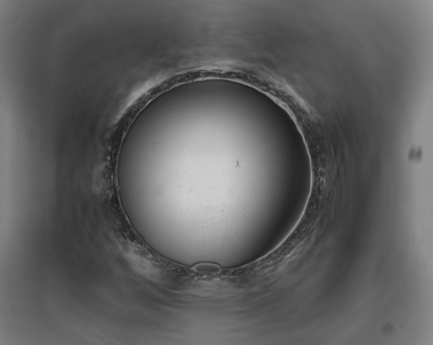 X0000096961256200802151227