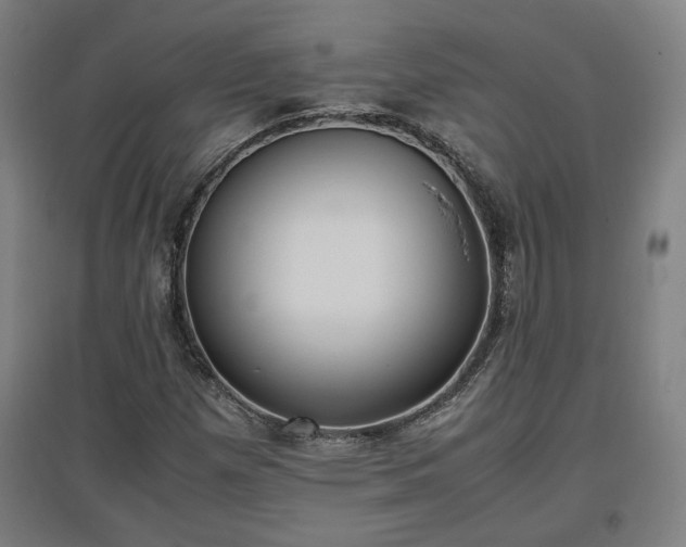 X0000096961257200802151227