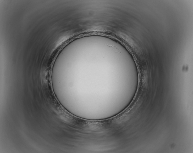 X0000096961258200802151227