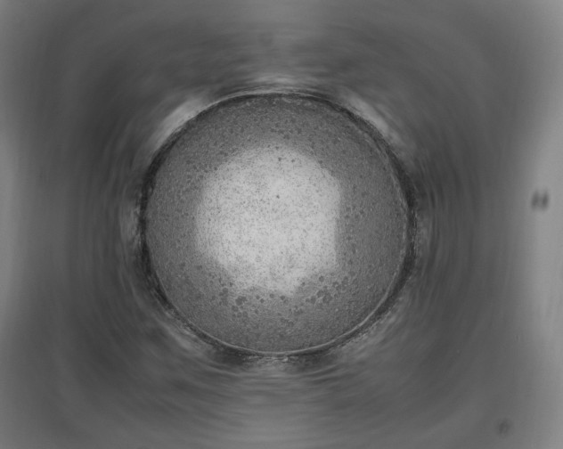 X0000096961259200802151227