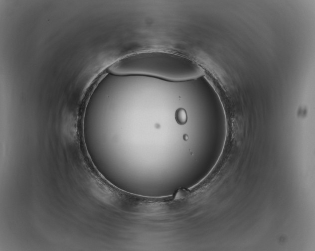 X0000096961260200802151227