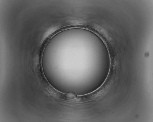 X0000096961261200802151227