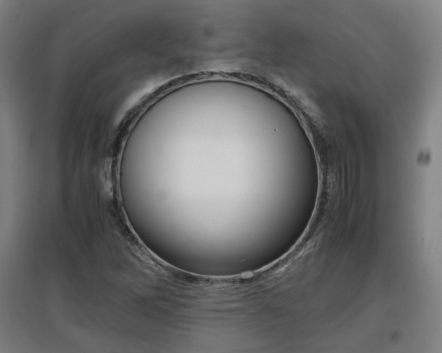 X0000096961262200802151227