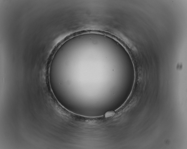 X0000096961264200802151227