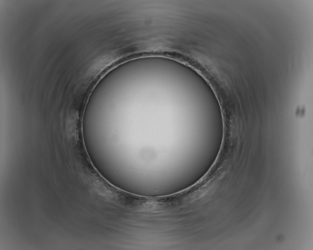 X0000096961265200802151227