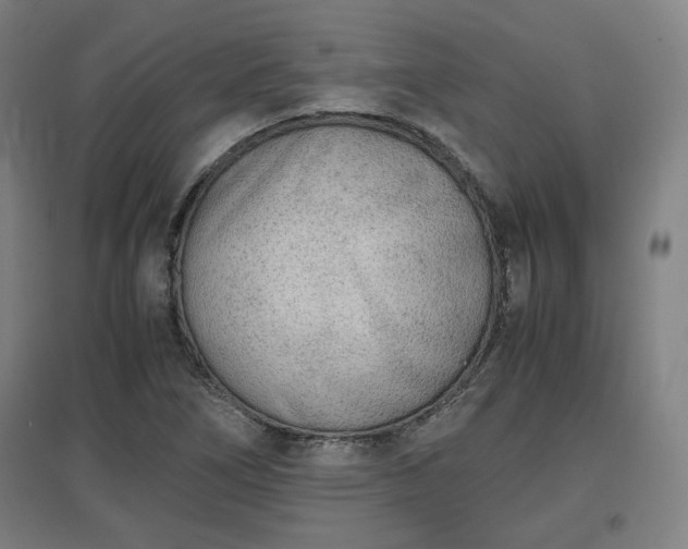 X0000096961266200802151227