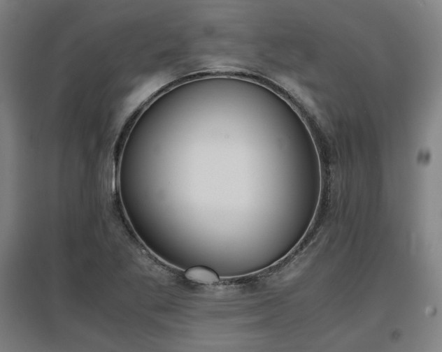 X0000096961269200802151227