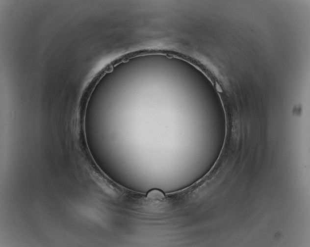 X0000096961270200802151227