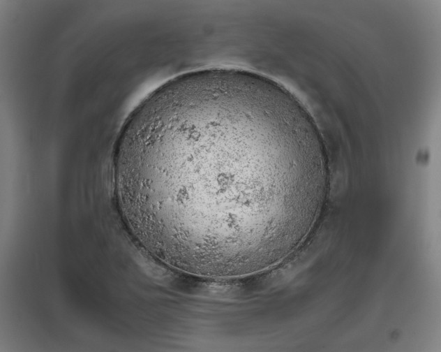 X0000096961271200802151227