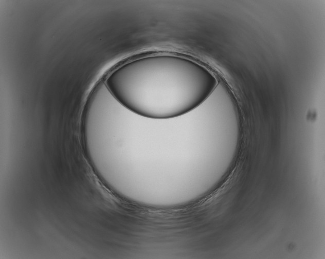 X0000096961272200802151227