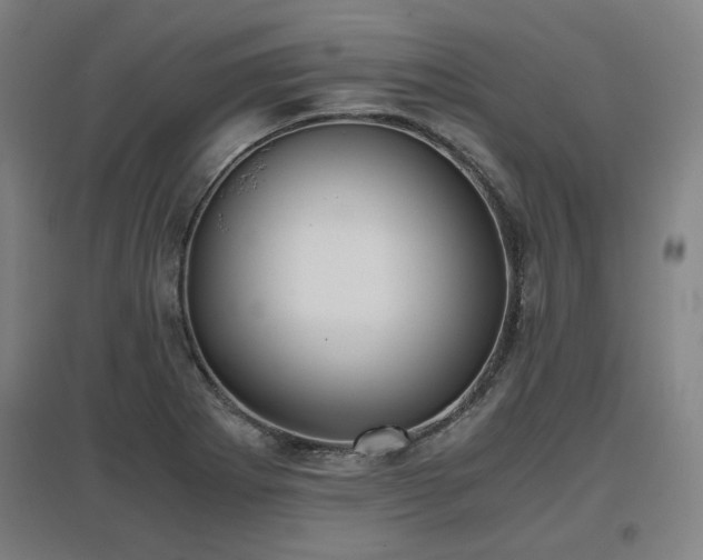 X0000096961273200802151227