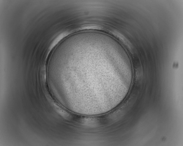 X0000096961274200802151227