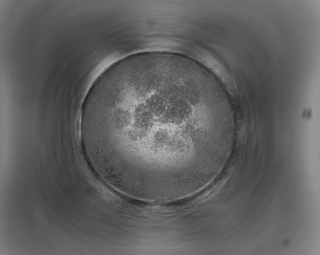 X0000096961275200802151227