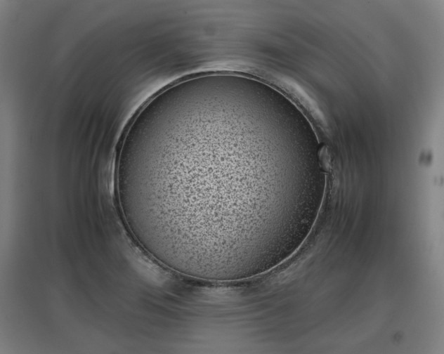 X0000096961276200802151227