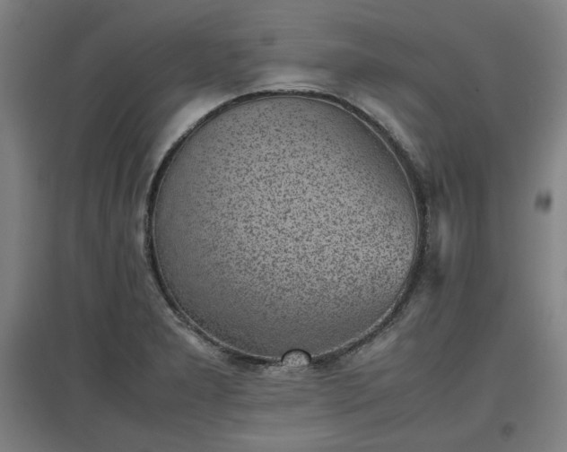 X0000096961277200802151227