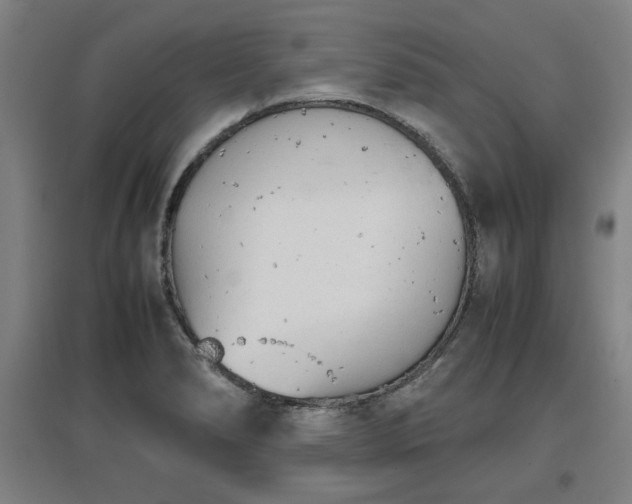 X0000096961278200802151227