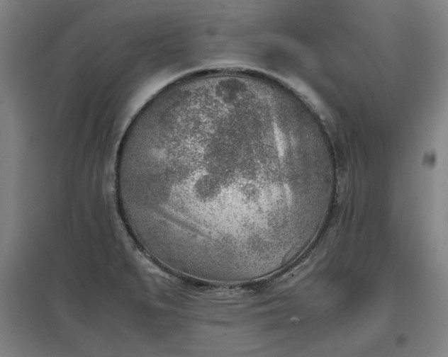 X0000096961279200802151227