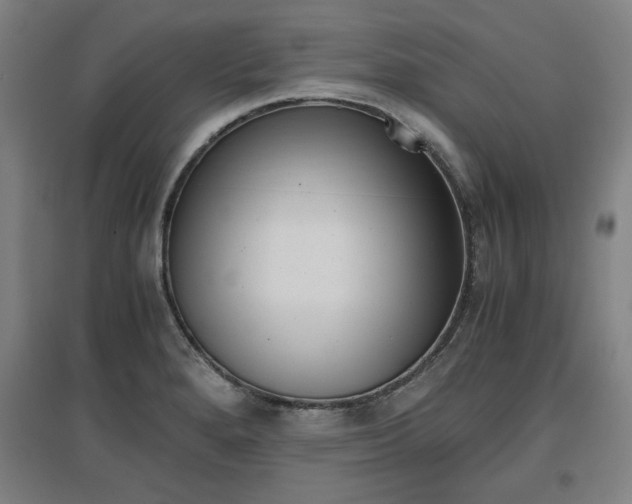 X0000096961280200802151227