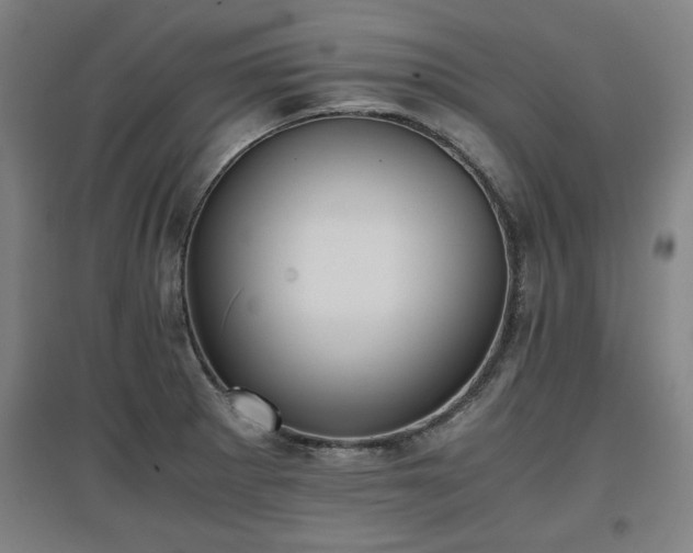 X0000096961281200802151227