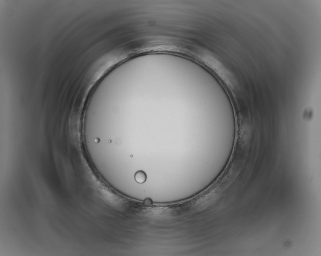 X0000096961282200802151227