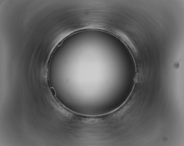 X0000096961284200802151227