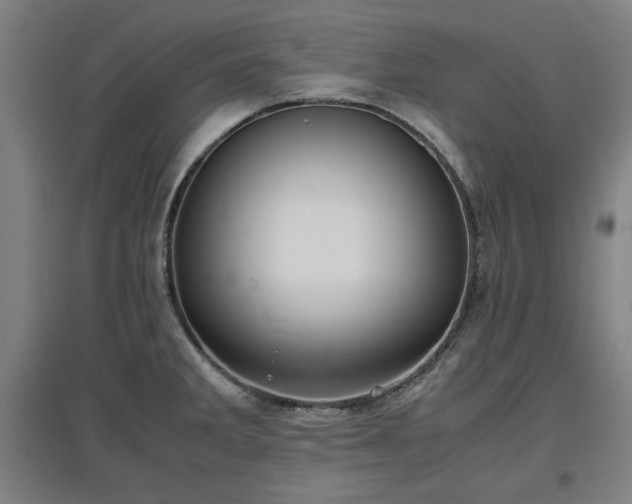 X0000096961285200802151227