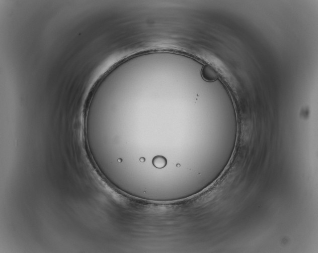 X0000096961286200802151227