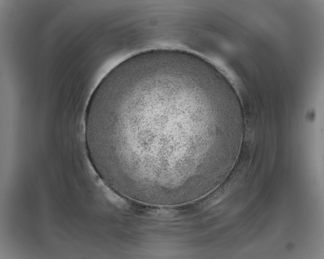 X0000096961287200802151227