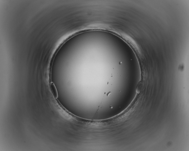 X0000096961288200802151227