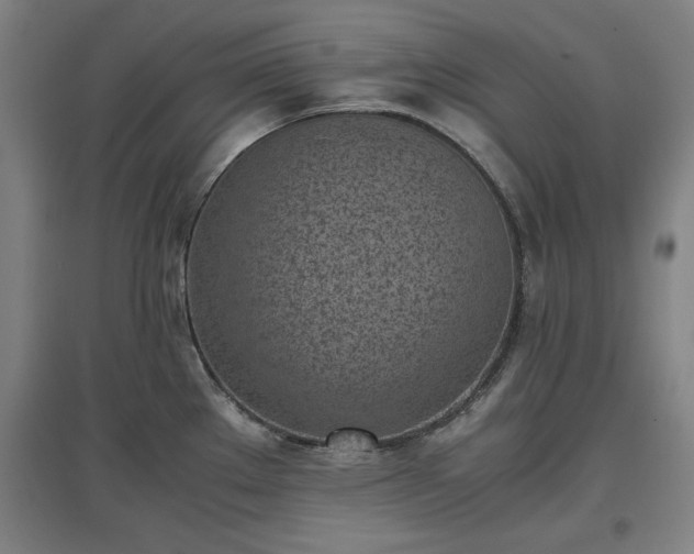 X0000096961289200802151227