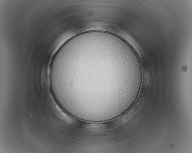 X0000096961290200802151227