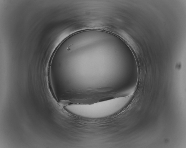 X0000096961291200802151227