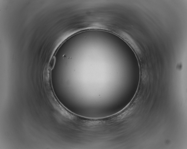 X0000096961292200802151227