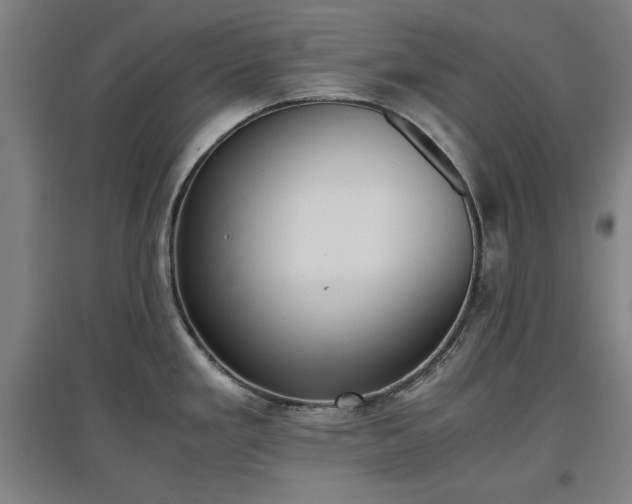 X0000096961293200802151227