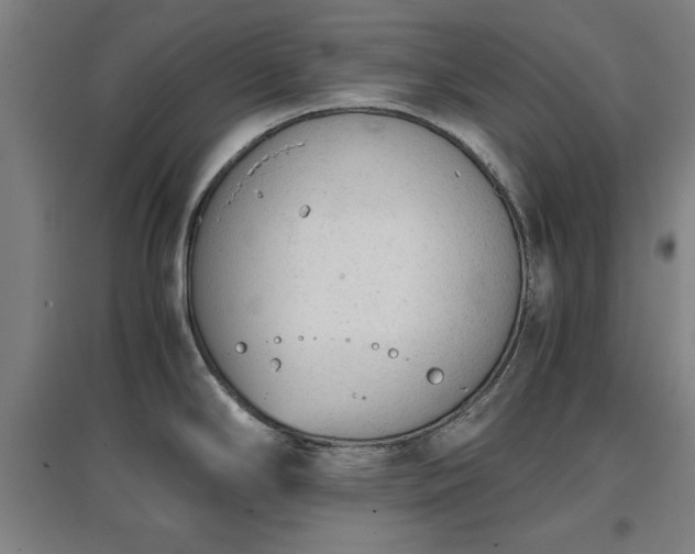 X0000096961294200802151227