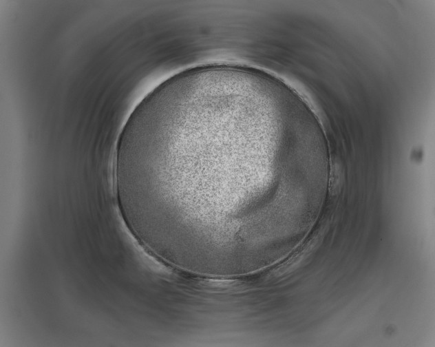 X0000096961295200802151227