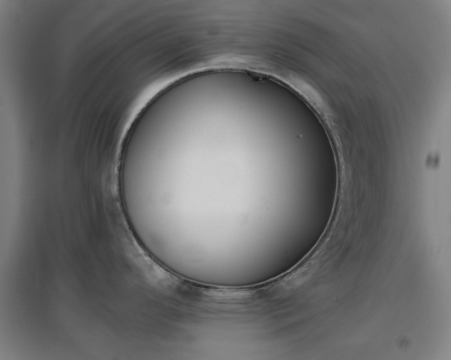 X0000096961296200802151227