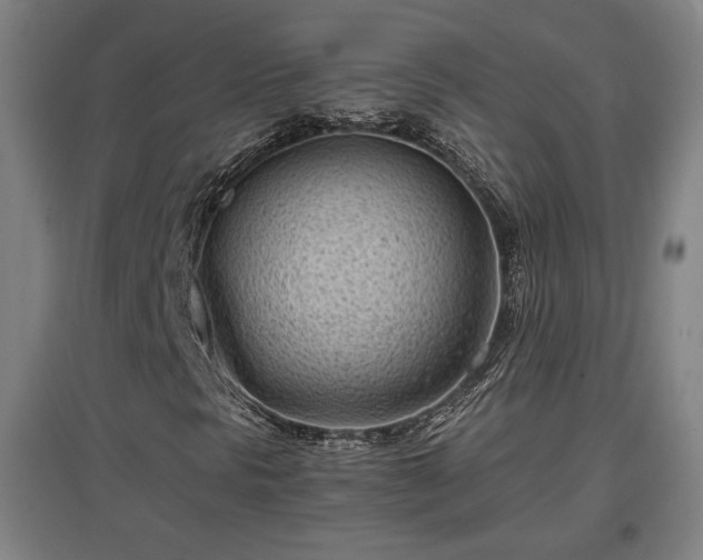 X0000096961297200802151226