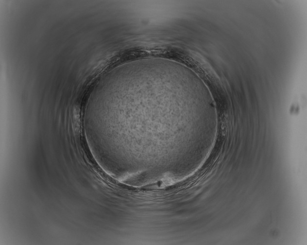 X0000096961298200802151226