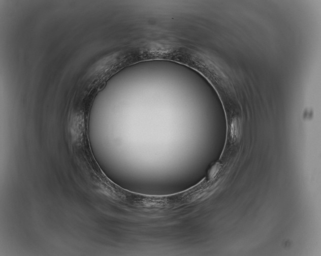 X0000096961299200802151226