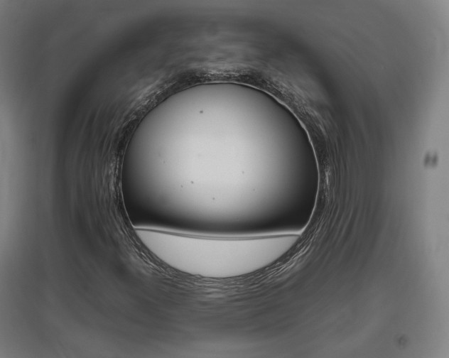 X0000096961300200802151226