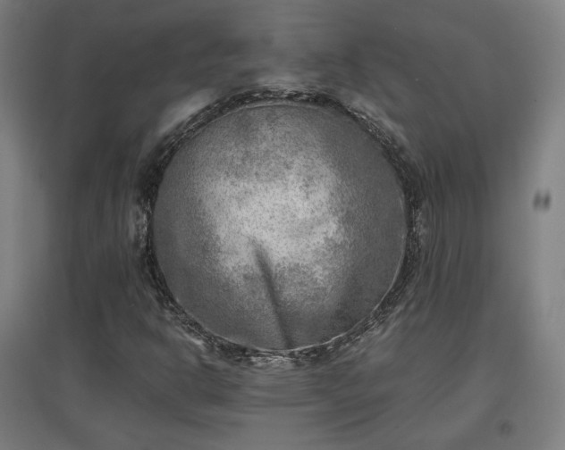 X0000096961302200802151226