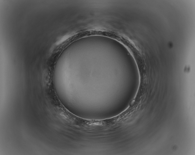 X0000096961303200802151226